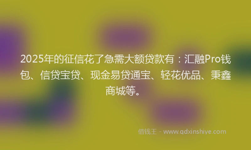 2025年的征信花了急需大额贷款有：汇融Pro钱包、信贷宝贷、现金易贷通宝、轻花优品、秉鑫商城等。