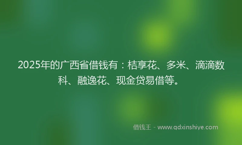 2025年的广西省借钱有：桔享花、多米、滴滴数科、融逸花、现金贷易借等。