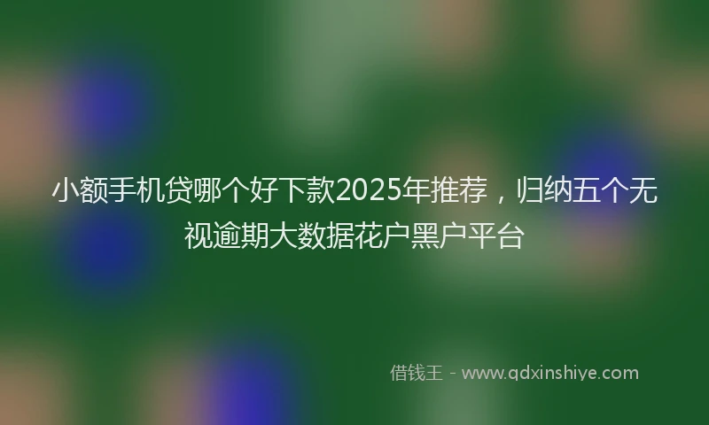 小额手机贷哪个好下款2025年推荐，归纳五个无视逾期大数据花户黑户平台