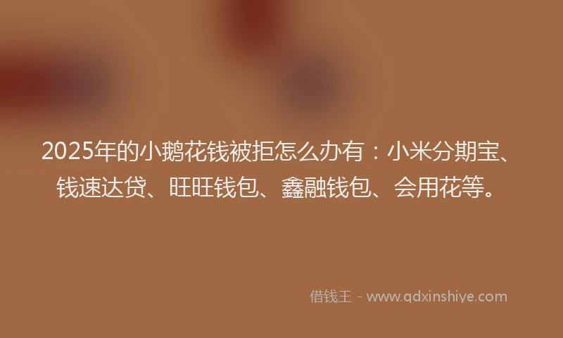2025年的小鹅花钱被拒怎么办有：小米分期宝、钱速达贷、旺旺钱包、鑫融钱包、会用花等。