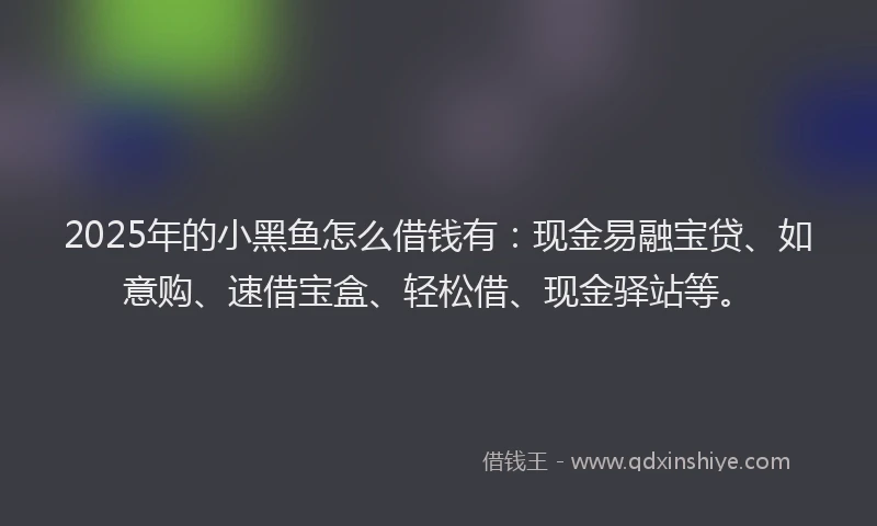 2025年的小黑鱼怎么借钱有：现金易融宝贷、如意购、速借宝盒、轻松借、现金驿站等。