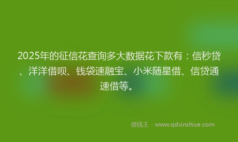 2025年的征信花查询多大数据花下款有：信秒贷、洋洋借呗、钱袋速融宝、小米随星借、信贷通速借等。