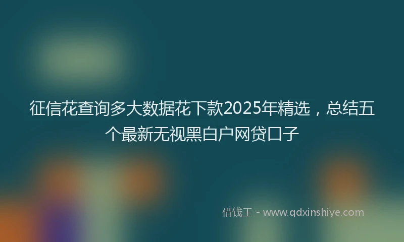 征信花查询多大数据花下款2025年精选，总结五个最新无视黑白户网贷口子
