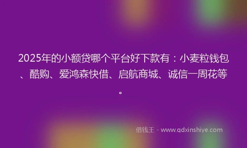 2025年的小额贷哪个平台好下款有：小麦粒钱包、酷购、爱鸿森快借、启航商城、诚信一周花等。