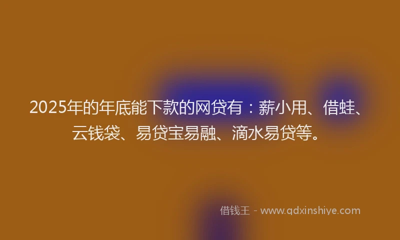 2025年的年底能下款的网贷有：薪小用、借蛙、云钱袋、易贷宝易融、滴水易贷等。