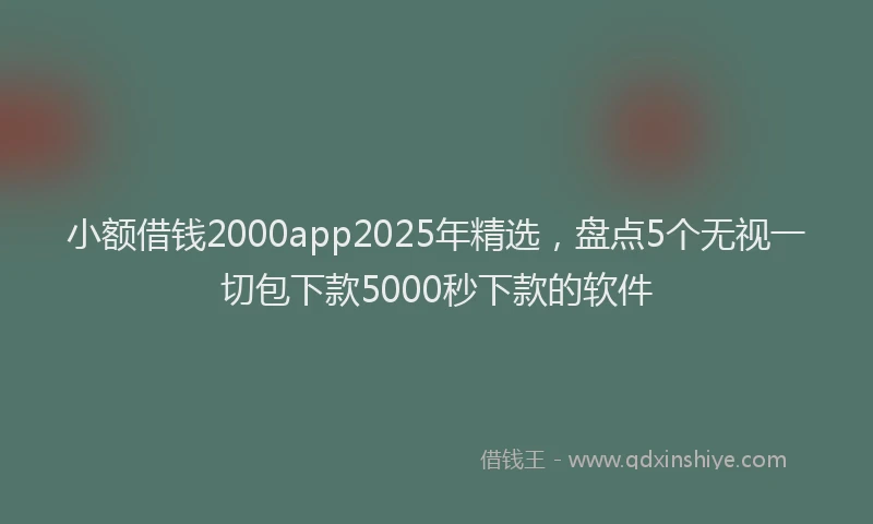 小额借钱2000app2025年精选，盘点5个无视一切包下款5000秒下款的软件