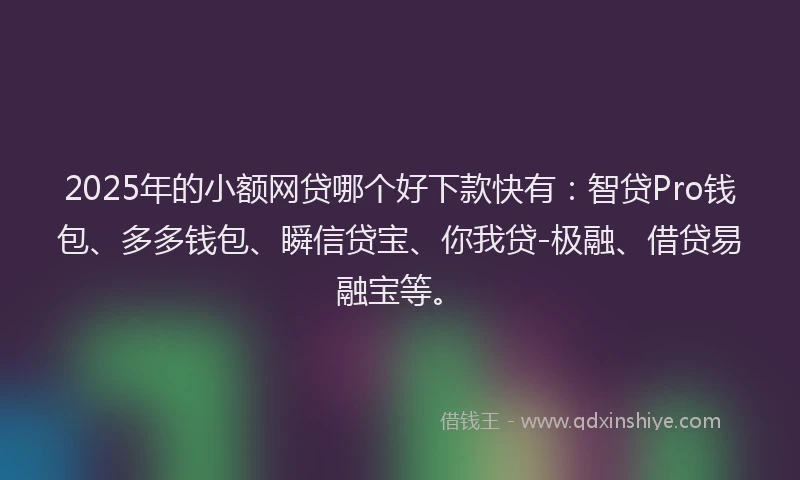 2025年的小额网贷哪个好下款快有：智贷Pro钱包、多多钱包、瞬信贷宝、你我贷-极融、借贷易融宝等。