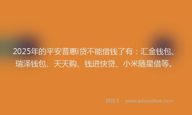2025年的平安普惠i贷不能借钱了有：汇金钱包、瑞泽钱包、天天购、钱进快贷、小米随星借等。