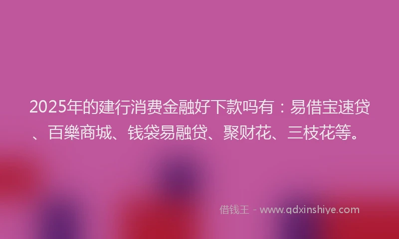 2025年的建行消费金融好下款吗有：易借宝速贷、百樂商城、钱袋易融贷、聚财花、三枝花等。