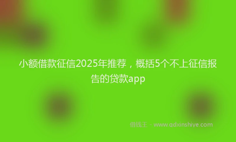 小额借款征信2025年推荐，概括5个不上征信报告的贷款app