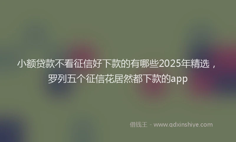 小额贷款不看征信好下款的有哪些2025年精选，罗列五个征信花居然都下款的app