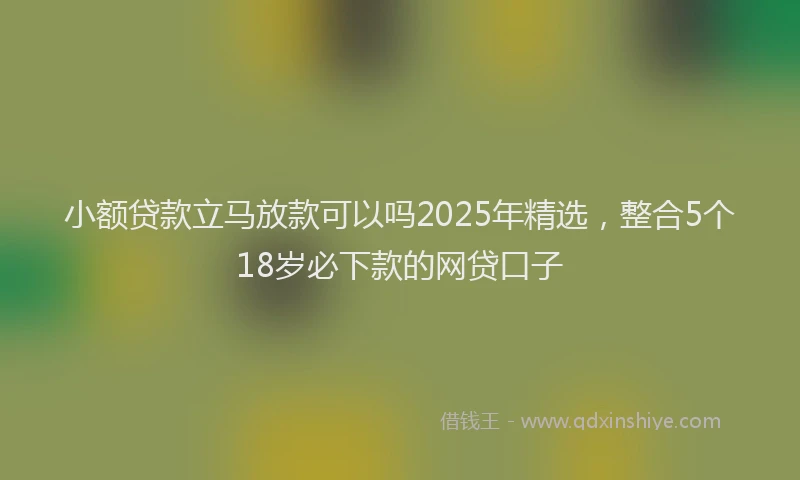 小额贷款立马放款可以吗2025年精选，整合5个18岁必下款的网贷口子