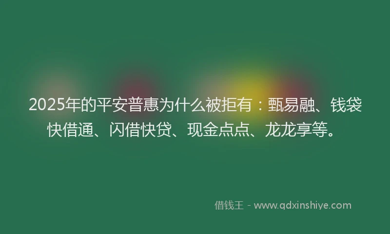 2025年的平安普惠为什么被拒有：甄易融、钱袋快借通、闪借快贷、现金点点、龙龙享等。