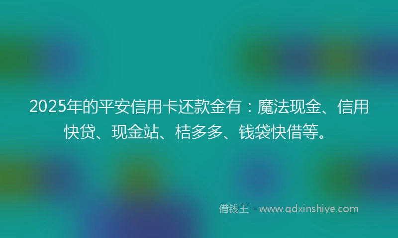 2025年的平安信用卡还款金有：魔法现金、信用快贷、现金站、桔多多、钱袋快借等。