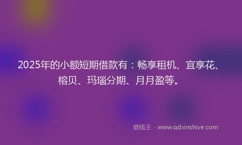 2025年的小额短期借款有：畅享租机、宜享花、榕贝、玛瑙分期、月月盈等。