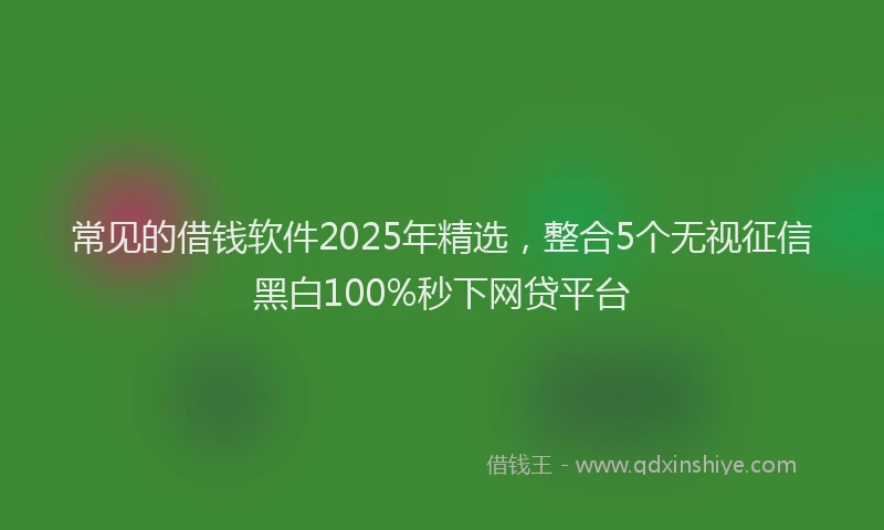 常见的借钱软件2025年精选，整合5个无视征信黑白100%秒下网贷平台