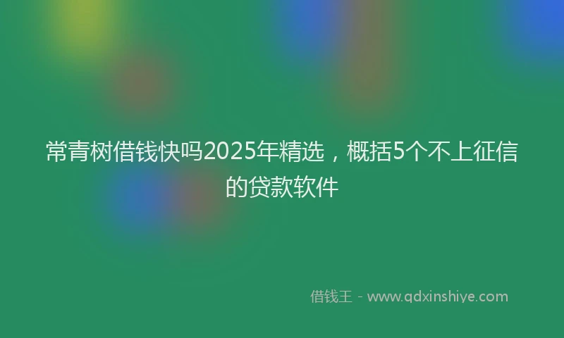 常青树借钱快吗2025年精选，概括5个不上征信的贷款软件