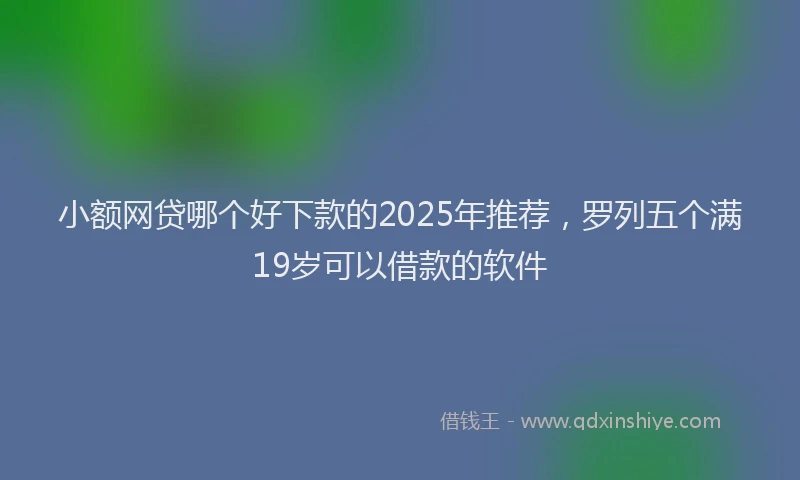 小额网贷哪个好下款的2025年推荐，罗列五个满19岁可以借款的软件