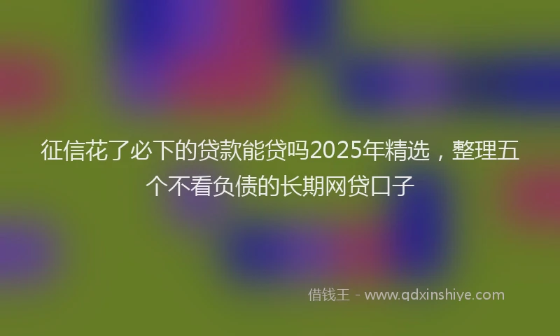 征信花了必下的贷款能贷吗2025年精选，整理五个不看负债的长期网贷口子