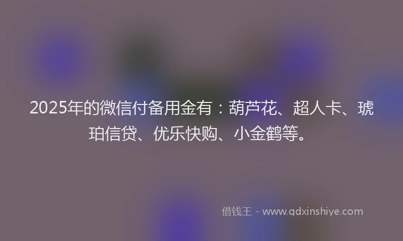 2025年的微信付备用金有：葫芦花、超人卡、琥珀信贷、优乐快购、小金鹤等。