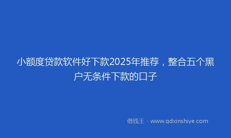 小额度贷款软件好下款2025年推荐，整合五个黑户无条件下款的口子