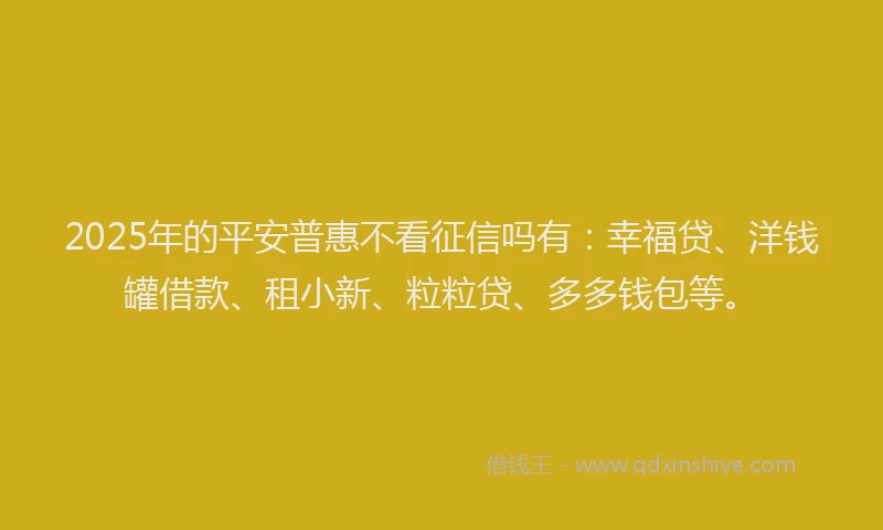 2025年的平安普惠不看征信吗有：幸福贷、洋钱罐借款、租小新、粒粒贷、多多钱包等。