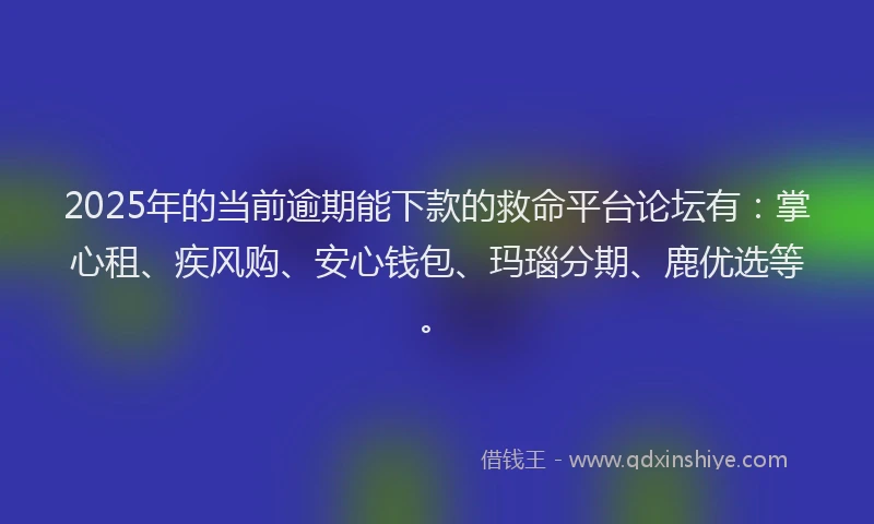 2025年的当前逾期能下款的救命平台论坛有：掌心租、疾风购、安心钱包、玛瑙分期、鹿优选等。