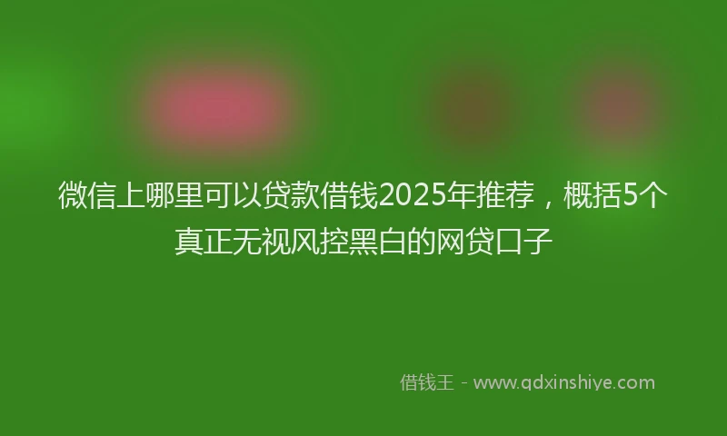微信上哪里可以贷款借钱2025年推荐，概括5个真正无视风控黑白的网贷口子