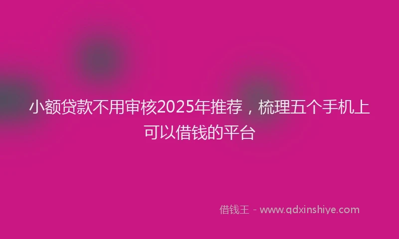 小额贷款不用审核2025年推荐，梳理五个手机上可以借钱的平台