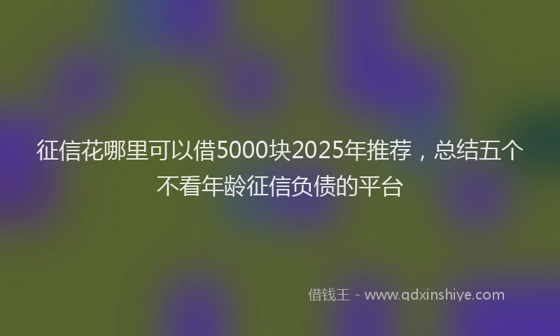 征信花哪里可以借5000块2025年推荐，总结五个不看年龄征信负债的平台