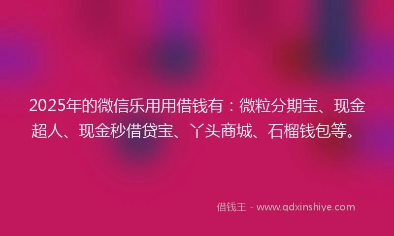 2025年的微信乐用用借钱有：微粒分期宝、现金超人、现金秒借贷宝、丫头商城、石榴钱包等。