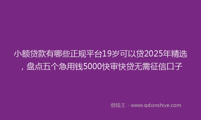 小额贷款有哪些正规平台19岁可以贷2025年精选，盘点五个急用钱5000快审快贷无需征信口子