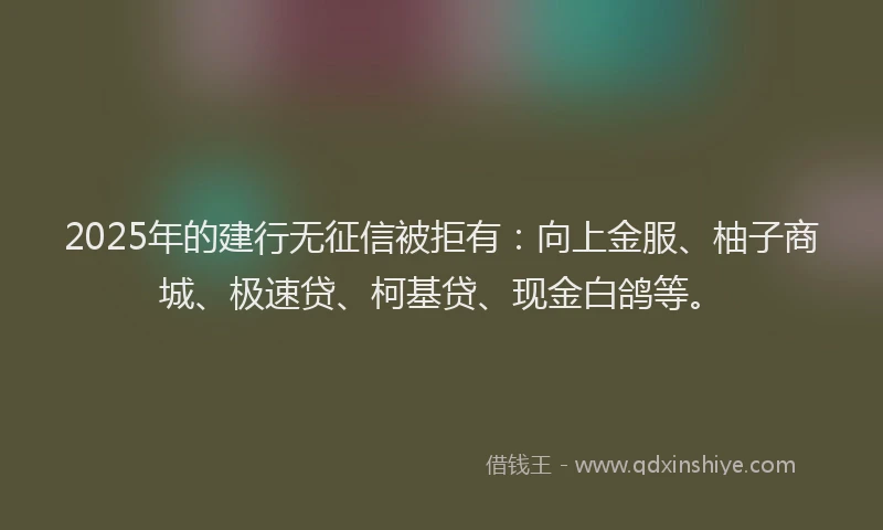2025年的建行无征信被拒有：向上金服、柚子商城、极速贷、柯基贷、现金白鸽等。