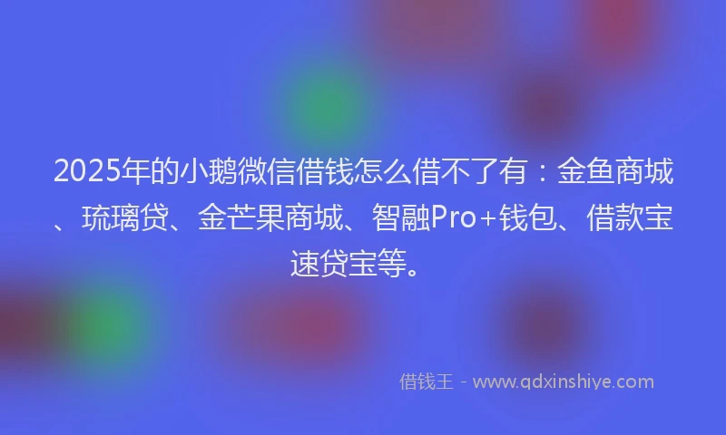 2025年的小鹅微信借钱怎么借不了有：金鱼商城、琉璃贷、金芒果商城、智融Pro+钱包、借款宝速贷宝等。