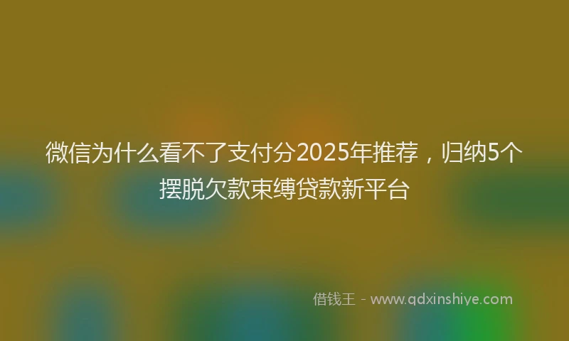微信为什么看不了支付分2025年推荐，归纳5个摆脱欠款束缚贷款新平台