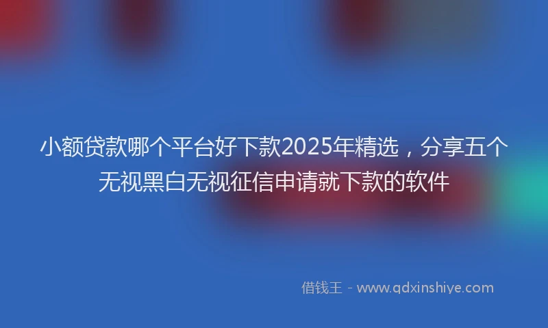 小额贷款哪个平台好下款2025年精选，分享五个无视黑白无视征信申请就下款的软件
