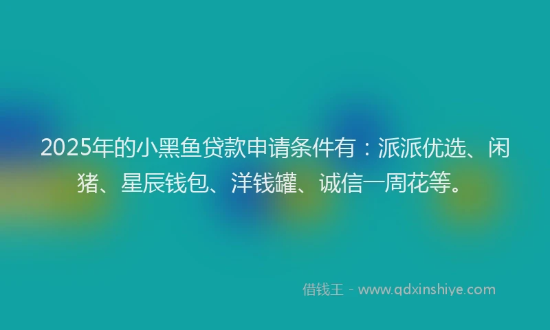 2025年的小黑鱼贷款申请条件有：派派优选、闲猪、星辰钱包、洋钱罐、诚信一周花等。