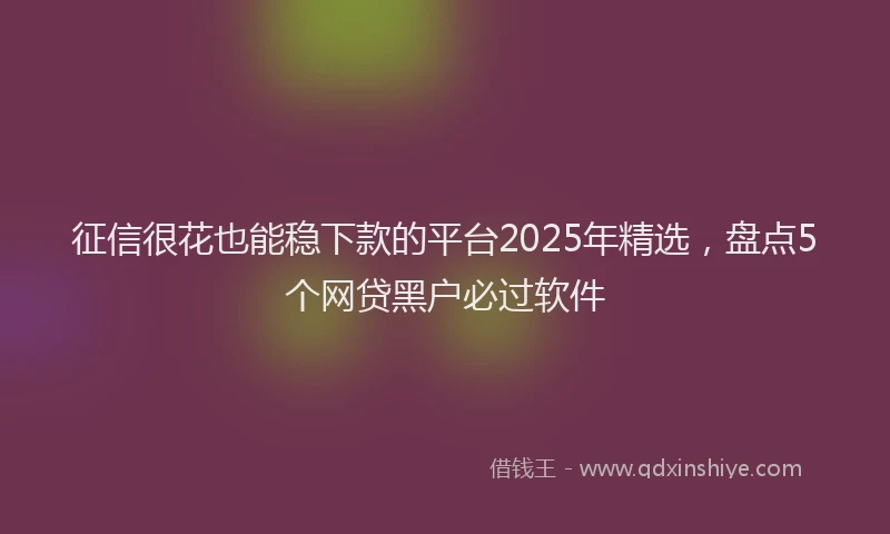征信很花也能稳下款的平台2025年精选，盘点5个网贷黑户必过软件