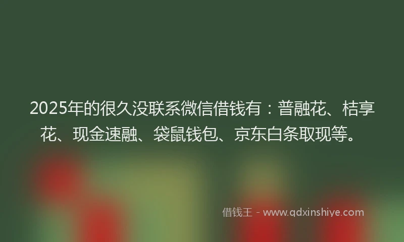 2025年的很久没联系微信借钱有：普融花、桔享花、现金速融、袋鼠钱包、京东白条取现等。