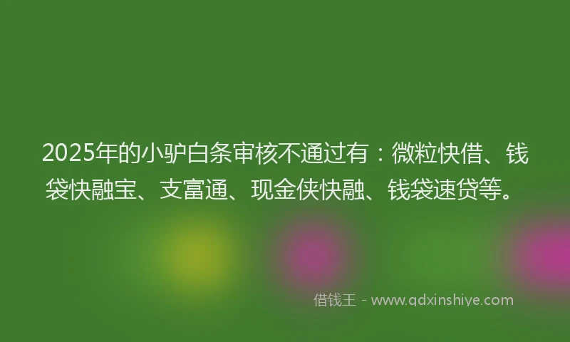 2025年的小驴白条审核不通过有：微粒快借、钱袋快融宝、支富通、现金侠快融、钱袋速贷等。