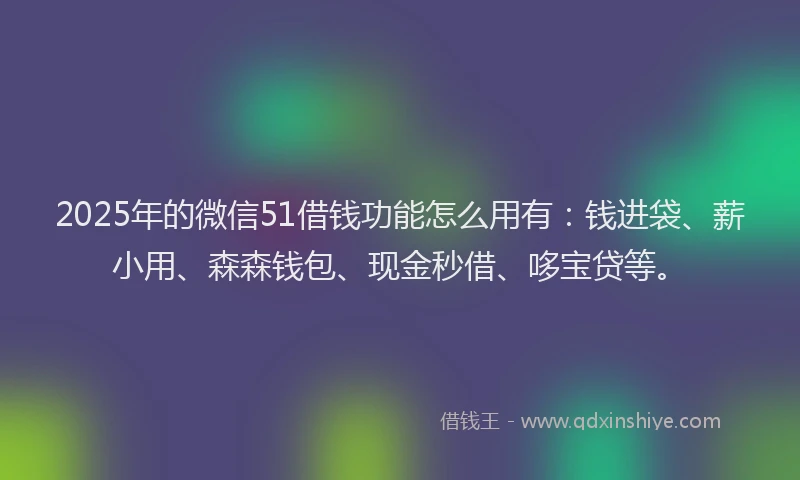 2025年的微信51借钱功能怎么用有：钱进袋、薪小用、森森钱包、现金秒借、哆宝贷等。