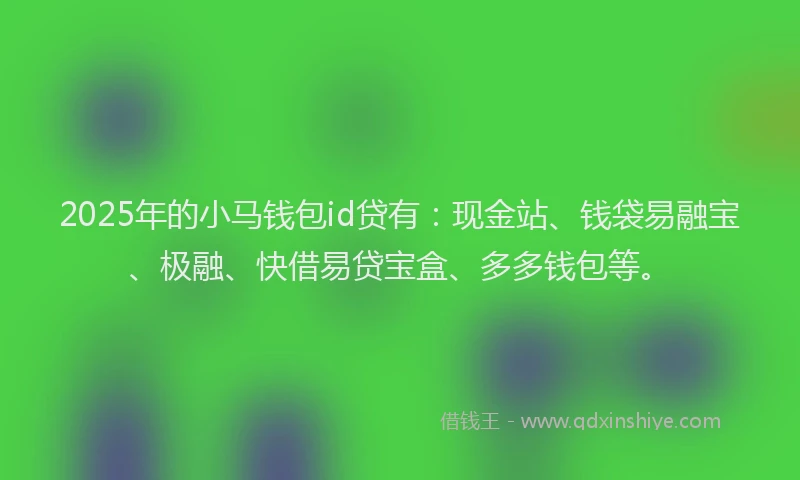 2025年的小马钱包id贷有：现金站、钱袋易融宝、极融、快借易贷宝盒、多多钱包等。