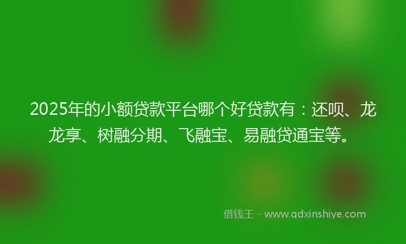 2025年的小额贷款平台哪个好贷款有：还呗、龙龙享、树融分期、飞融宝、易融贷通宝等。