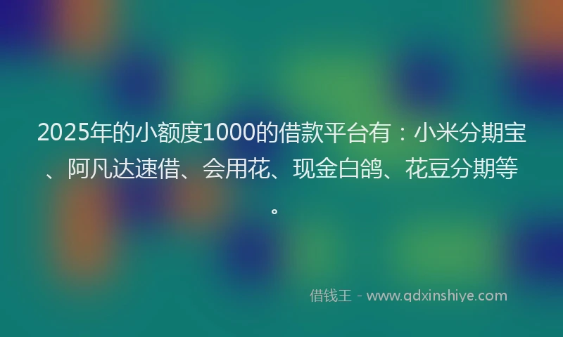 2025年的小额度1000的借款平台有：小米分期宝、阿凡达速借、会用花、现金白鸽、花豆分期等。