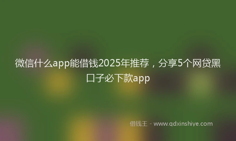 微信什么app能借钱2025年推荐，分享5个网贷黑口子必下款app