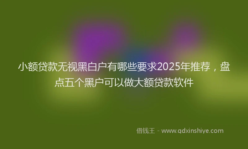 小额贷款无视黑白户有哪些要求2025年推荐，盘点五个黑户可以做大额贷款软件