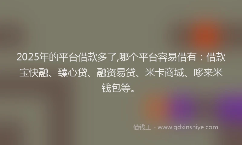 2025年的平台借款多了,哪个平台容易借有：借款宝快融、臻心贷、融资易贷、米卡商城、哆来米钱包等。