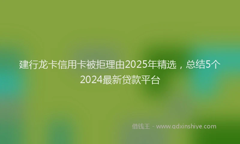 建行龙卡信用卡被拒理由2025年精选，总结5个2024最新贷款平台