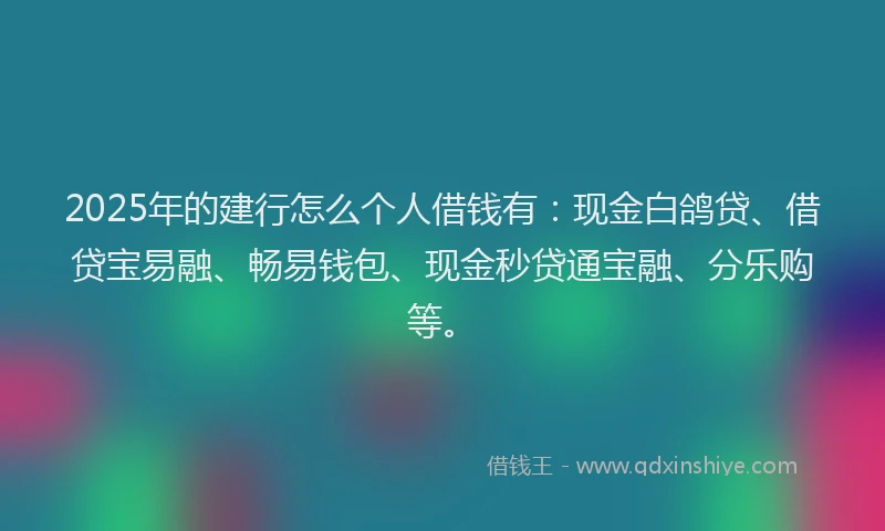2025年的建行怎么个人借钱有：现金白鸽贷、借贷宝易融、畅易钱包、现金秒贷通宝融、分乐购等。