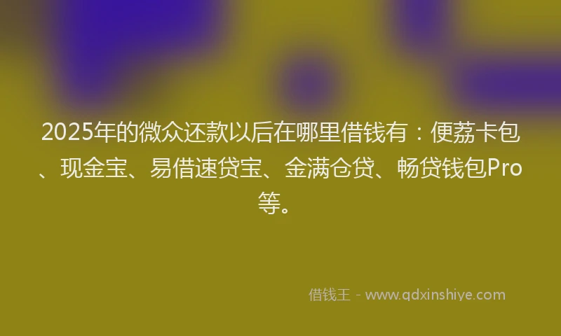 2025年的微众还款以后在哪里借钱有：便荔卡包、现金宝、易借速贷宝、金满仓贷、畅贷钱包Pro等。